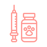 pink vaccination line icon